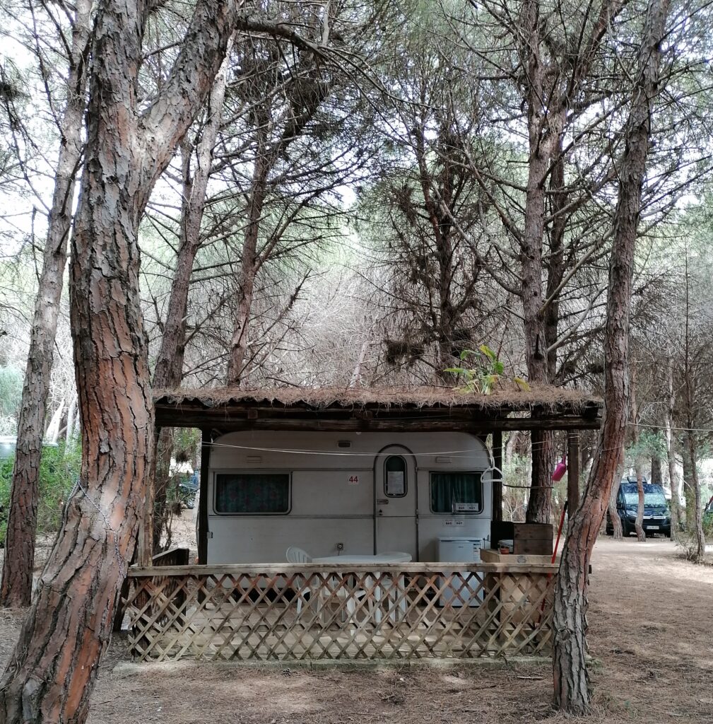 Roulotte del campeggio Nurapolis immersa nella pineta, con veranda in legno e tavolo esterno.